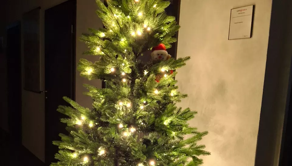 Lichterglanz im Bürogebäude in Querfurt